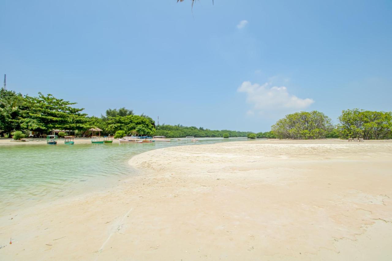 ג'קרטה Guerilla Dive Lodge Pulau Pari מראה חיצוני תמונה