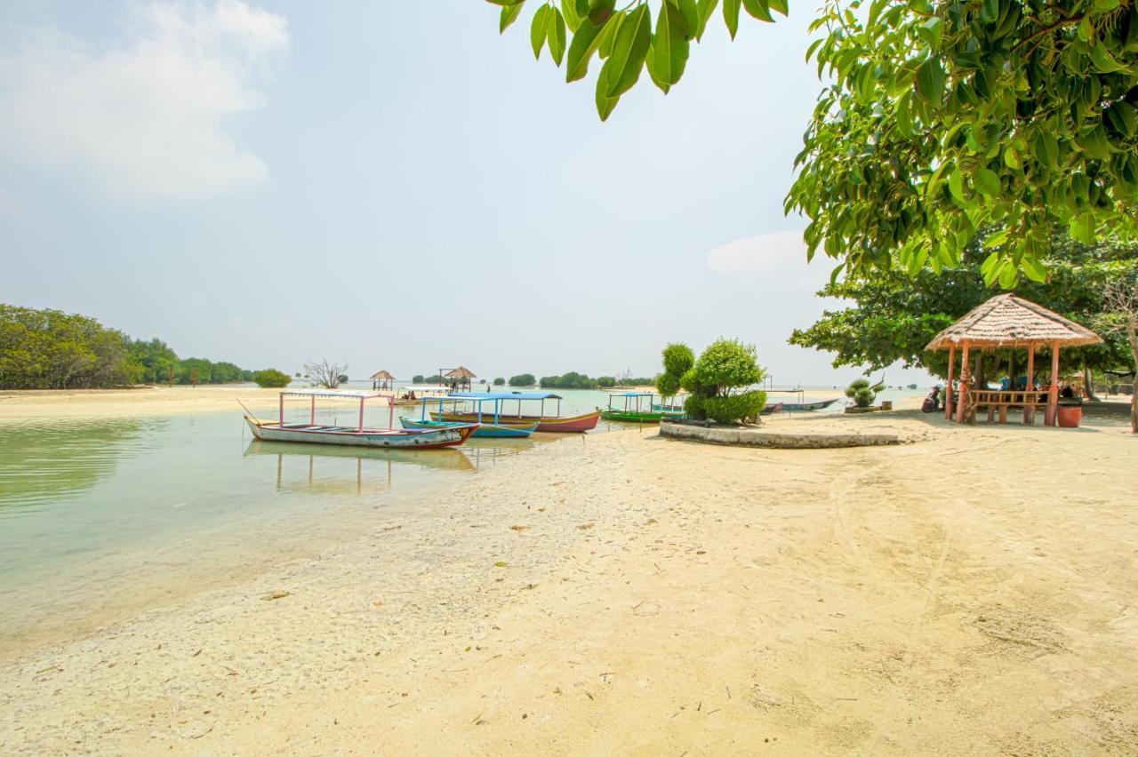 ג'קרטה Guerilla Dive Lodge Pulau Pari מראה חיצוני תמונה